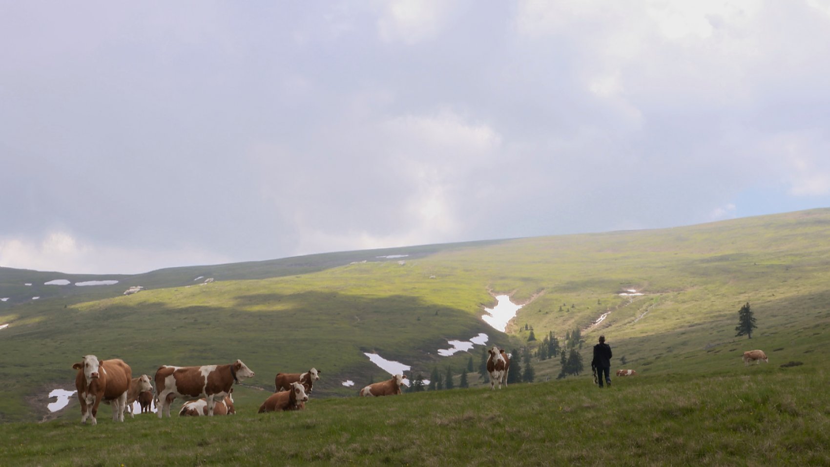 Ein Sommer auf der Koralm
