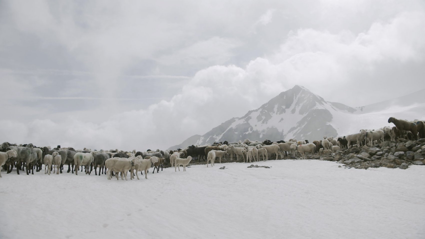 Hirtenleben im Ötztal