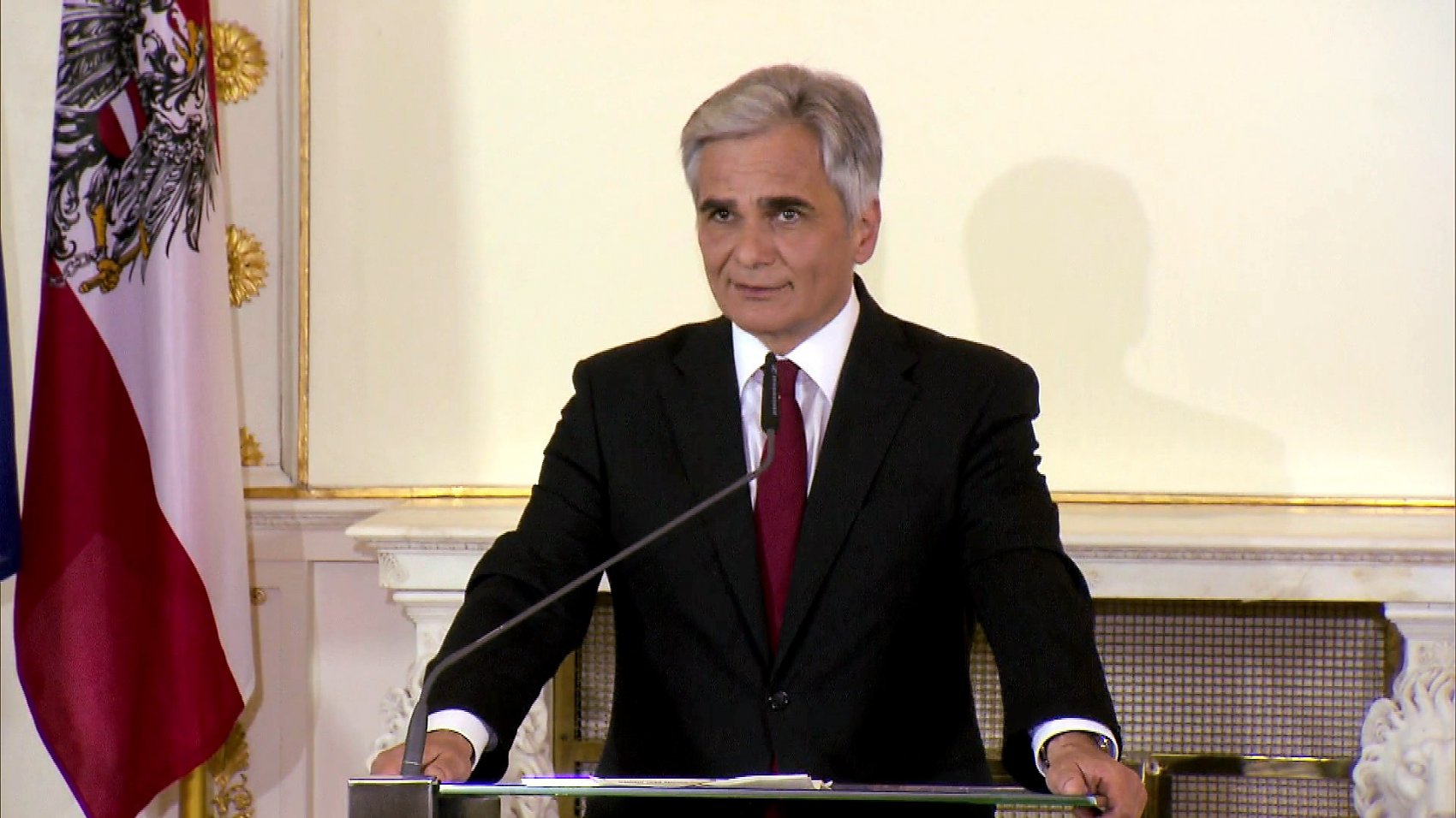 Werner Faymann - Der Krisenkanzler